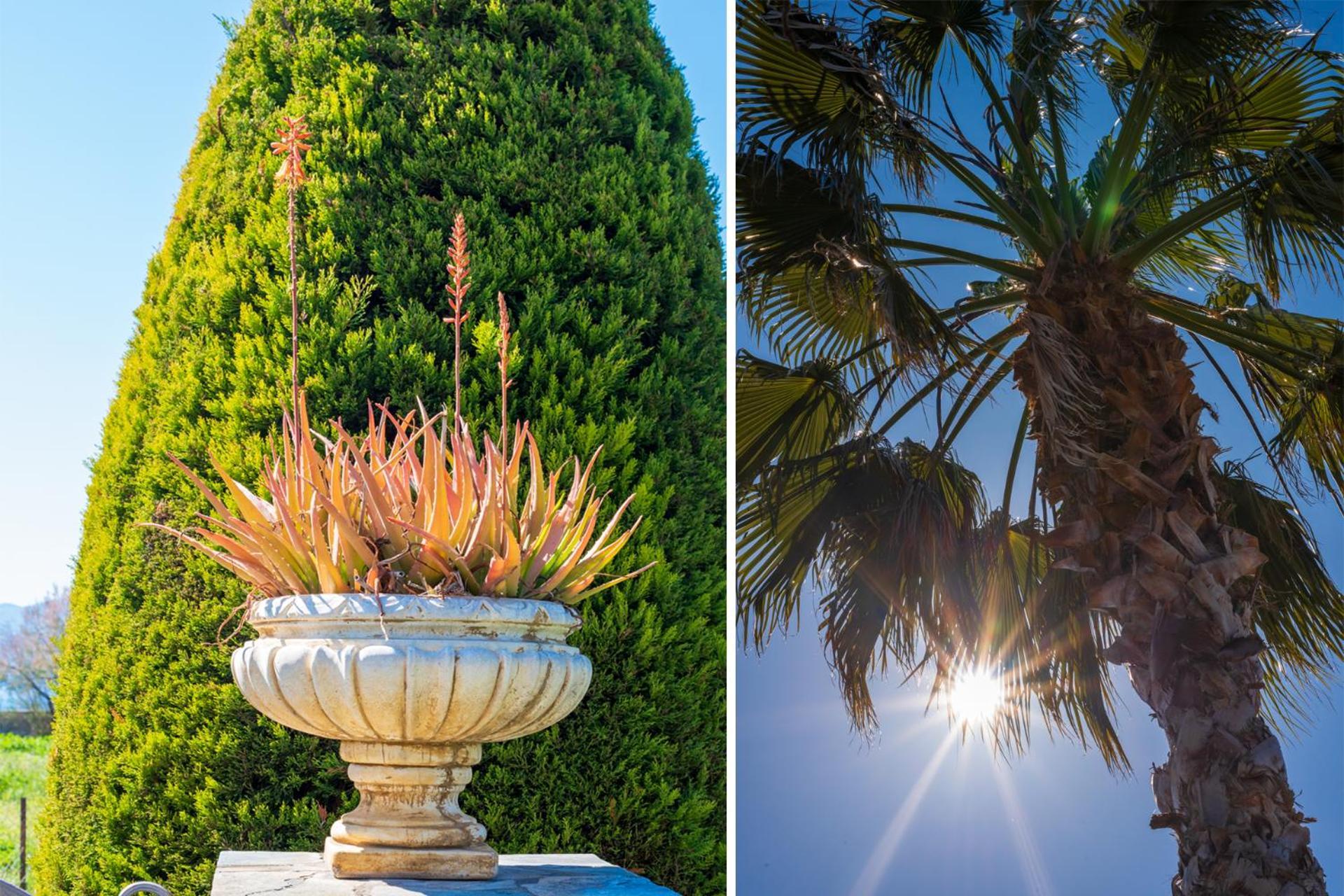 Christina'S Twin Palm Trees House Apartment อากริอา ภายนอก รูปภาพ